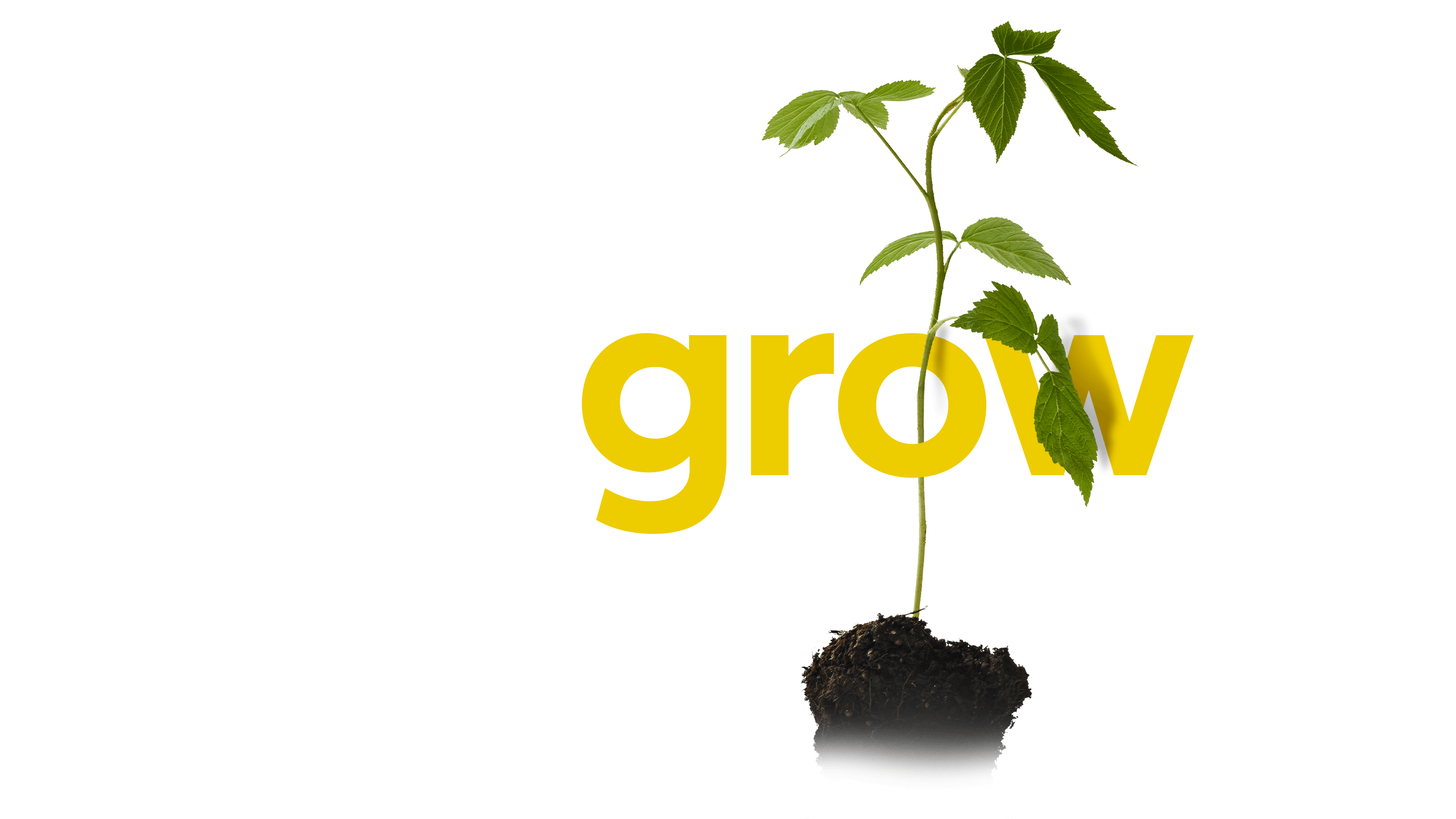 WWF_ReGrow_05-4