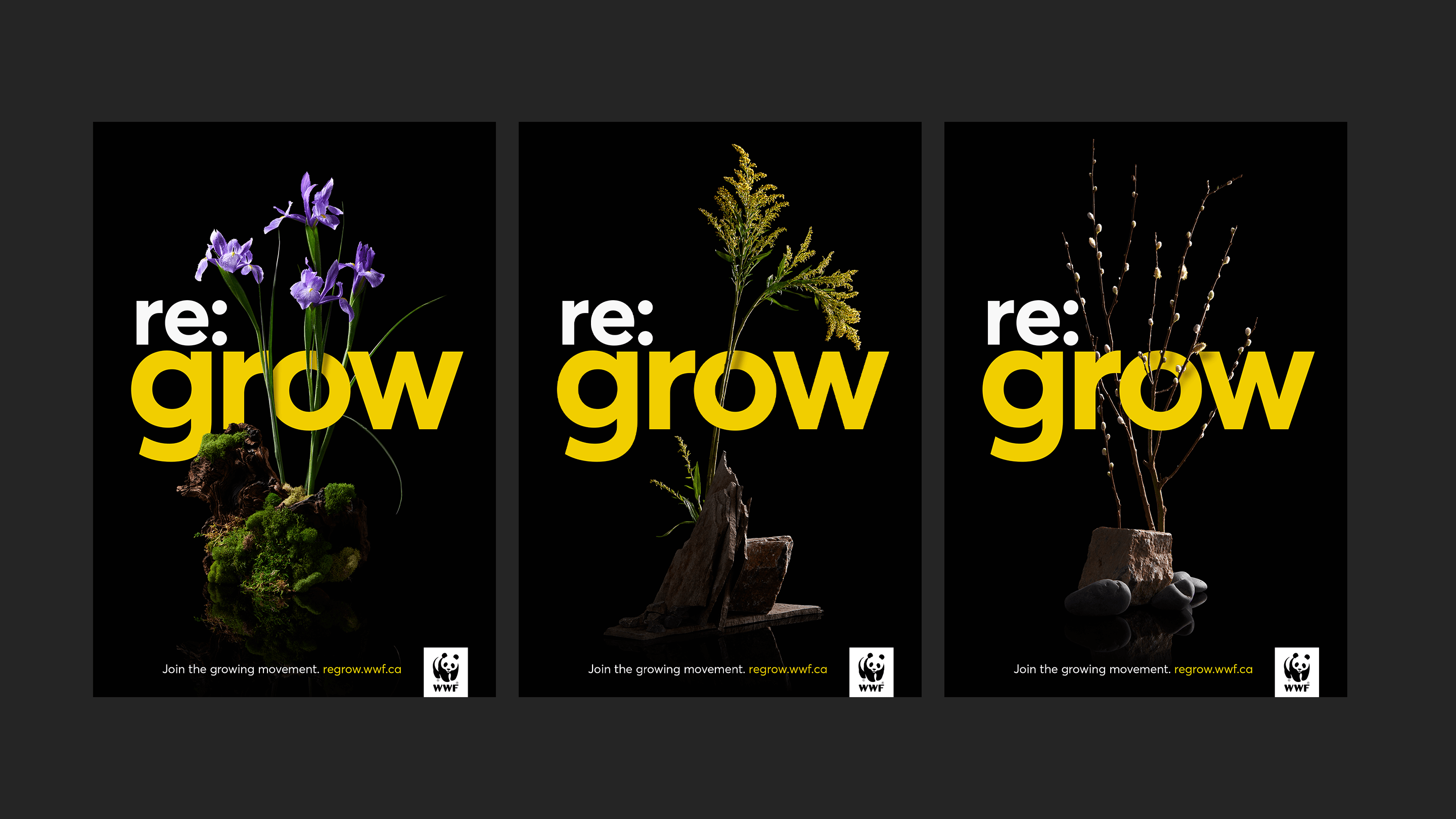 WWF_ReGrow_10