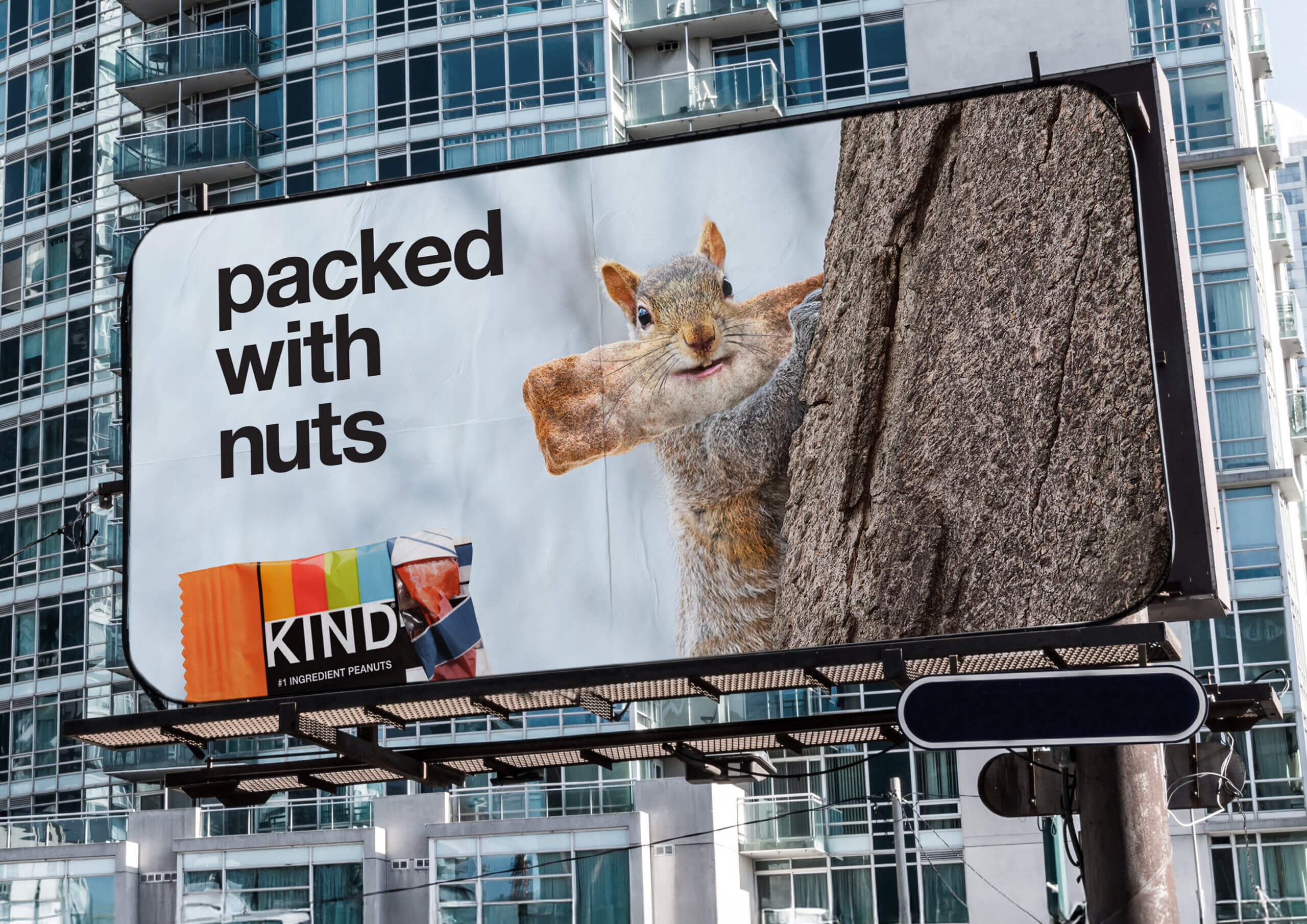 KIND_PackedWithNuts_Billboard KIND_PackedWithNuts_Billboard